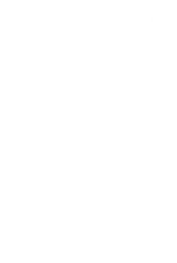Logo Footer